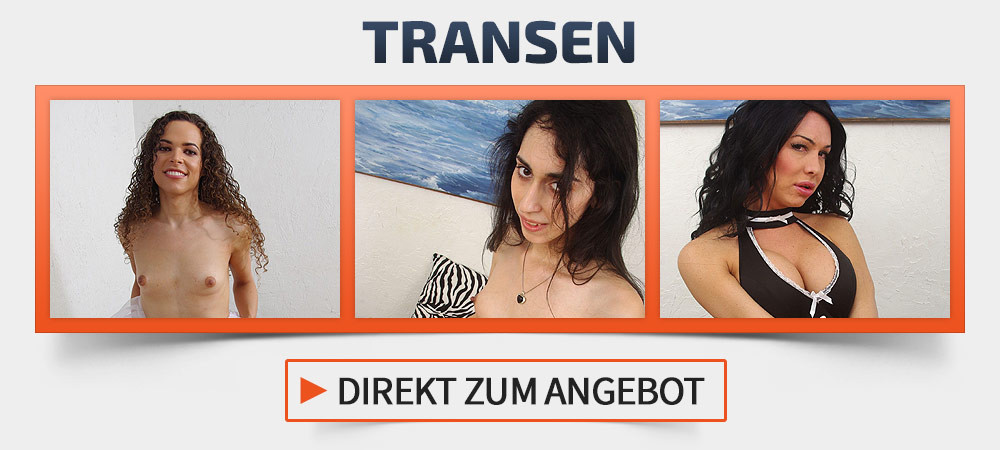 Transen Cams
